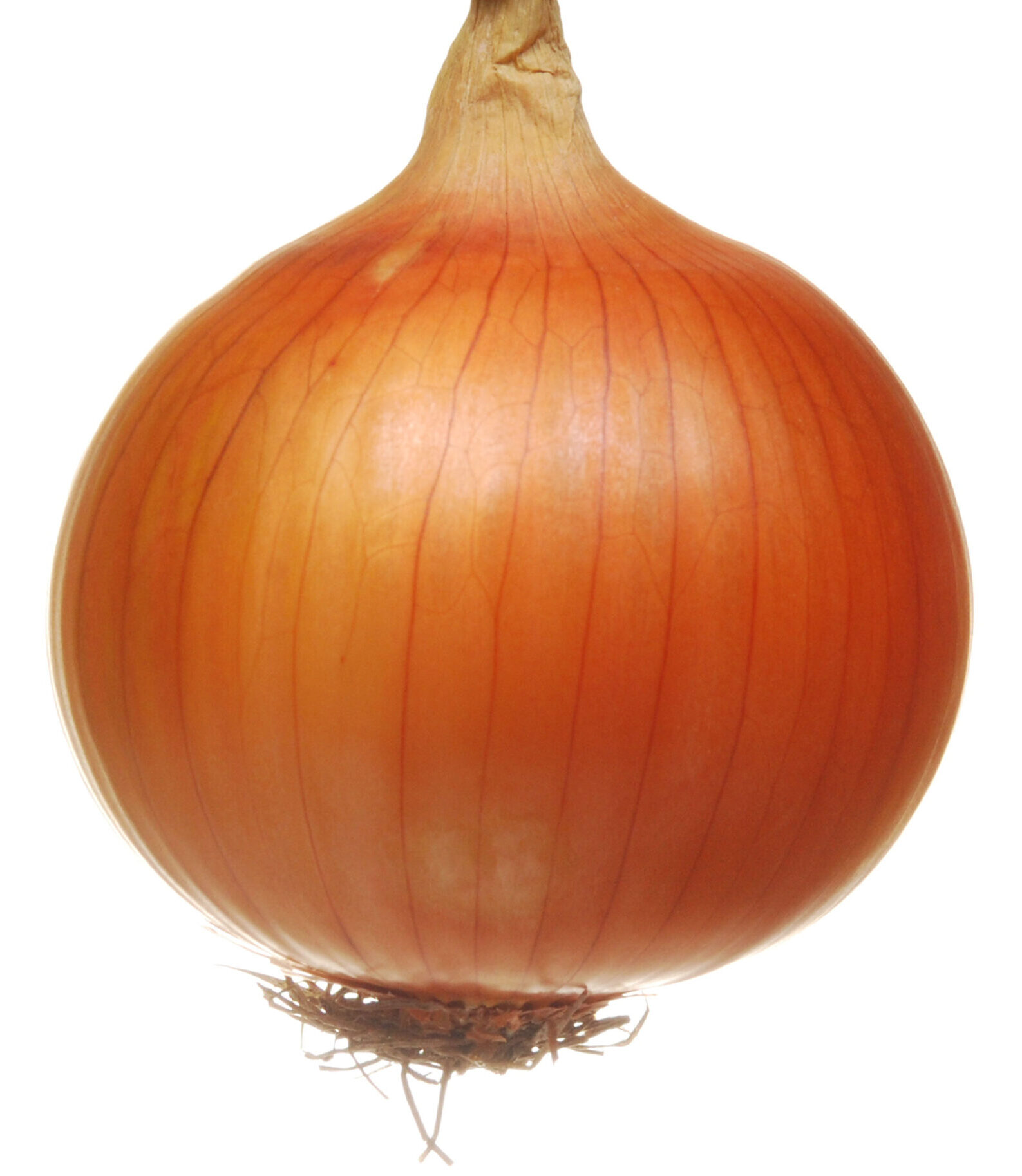 empasc352 bola precoce